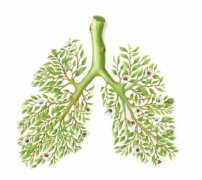 肺氣傷，百病起！春季做好這些事幫你養(yǎng)肺強肺