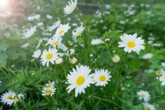 養好陽氣勝吃補藥！常按五個“生陽穴”，一年少生病