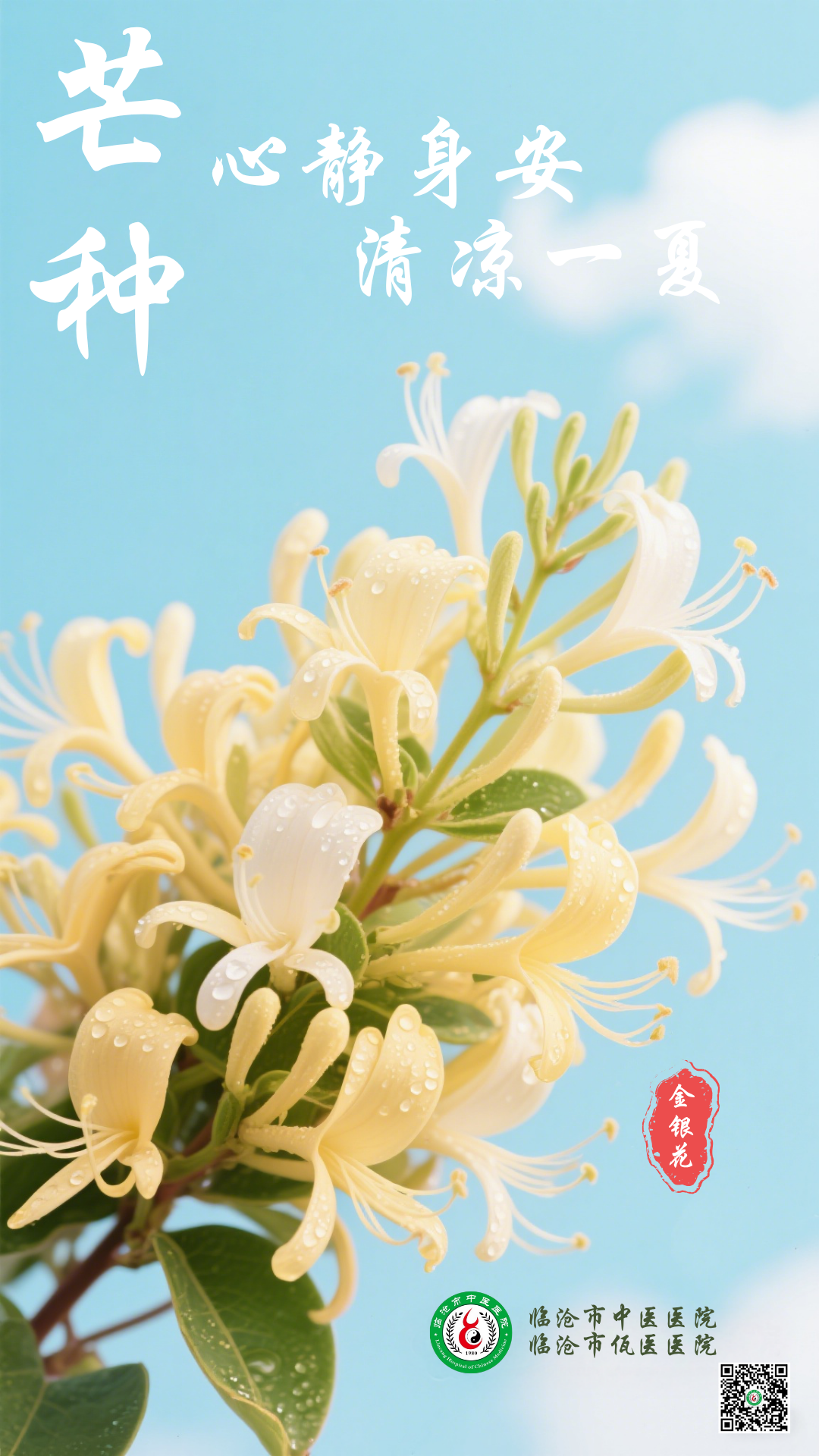 二十四節氣 | 芒種：心靜身安，清涼一夏！ 